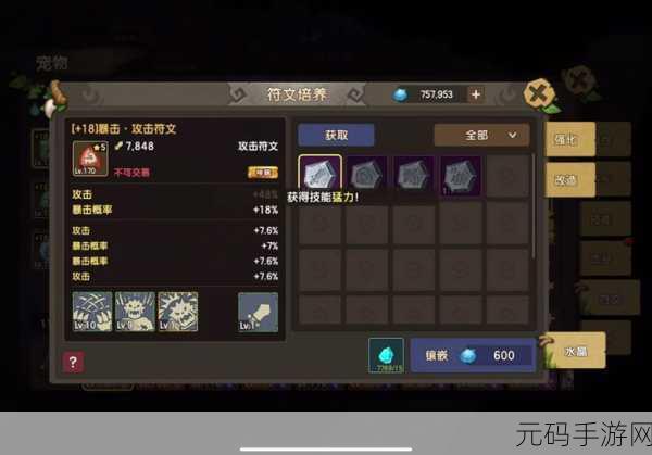 石器时代 M,宠物符文系统全解析,实力飙升秘籍
