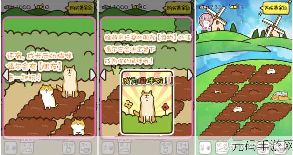 萌宠治愈新选择，整理猫猫小游戏风靡休闲游戏圈
