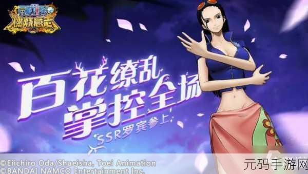 航海王燃烧意志网易版,开启割草式角色扮演新篇章