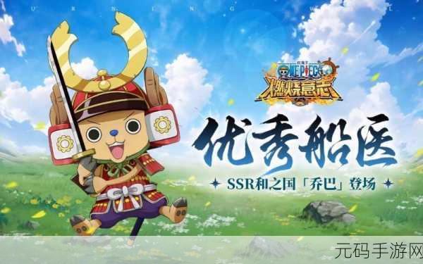航海王,燃烧意志 新世界乔巴——练就超强战力的绝佳选择