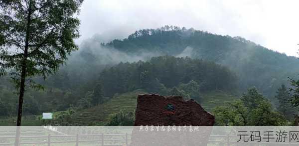 我的茶园联机版焕新上线，与挚友共筑田园牧歌，经营梦幻茶园之旅