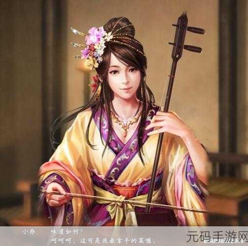 中华三国志女将招募秘籍,一网打尽的全攻略指南