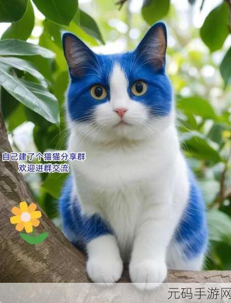 萌宠来袭！猫了个猫猫猫猫猫猫掀起趣味休闲闯关新热潮