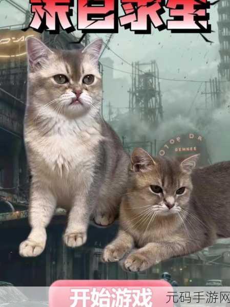 梦幻小猫破解版风靡网络?正版模拟猫咪养成游戏更值得期待