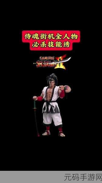 卡通街机新纪元,Samurai and Ninja Assassin vs Dark Ninja燃爆上线!