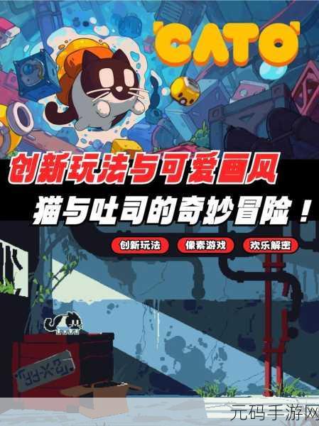 二重唱猫游戏风靡全网，音乐与萌宠的完美融合