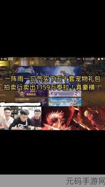 DNF 手游宠物大对决,关羽与甜小鱼谁更胜一筹