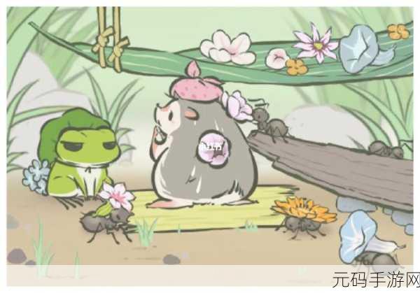 旅行青蛙汉化版，梅梅小广告无法观看的全面解决方案