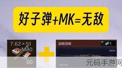 暗区突围,深度解析 M995 子弹的超强穿透力