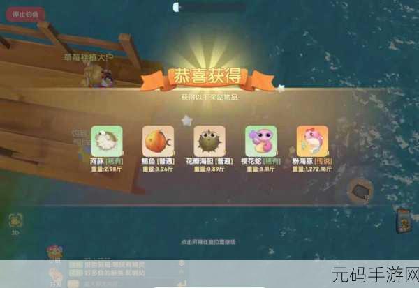 摩尔庄园手游许愿龟用途大揭秘及许愿位置全攻略