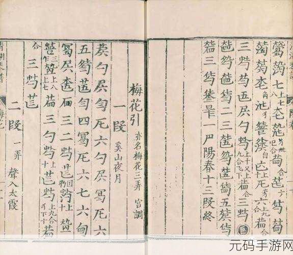 烟雨江湖，探寻梅花三弄琴谱的神秘获取之道