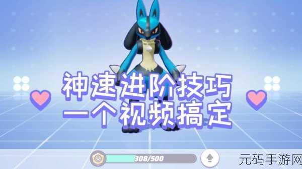 宝可梦大集结，新手到高手的进阶秘籍全解析