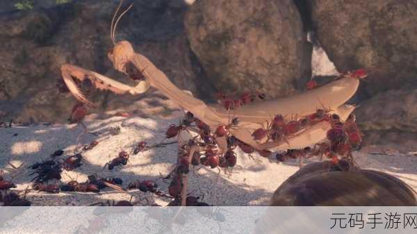 蚂蚁帝国由你主宰，模拟蚂蚁大亨最新版火爆上线
