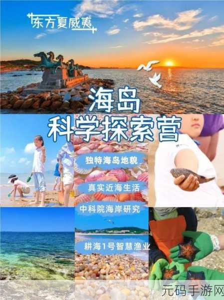 印象之路,解锁智慧之旅,翻牌游戏新体验等你来探索!