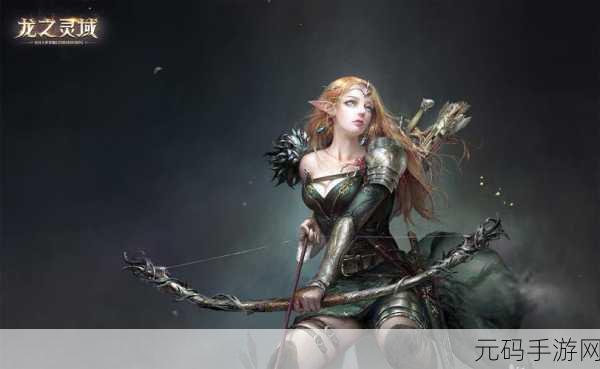 龙之灵域装备全解析,带你称霸神秘世界