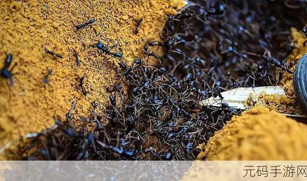 小小蚁群震撼登场,从单蚁启程,构建你的地下王国!