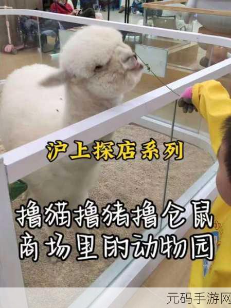 萌宠乐园新纪元，猫镇山谷掀起趣味猫咪模拟经营热潮
