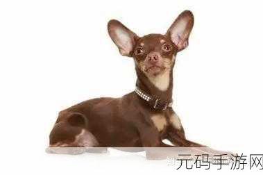 把它们全部砍掉风靡全网，休闲动作新体验等你来战！