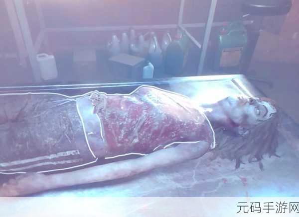 医学人体模拟器安卓版来袭,探索身体奥秘的休闲新选择