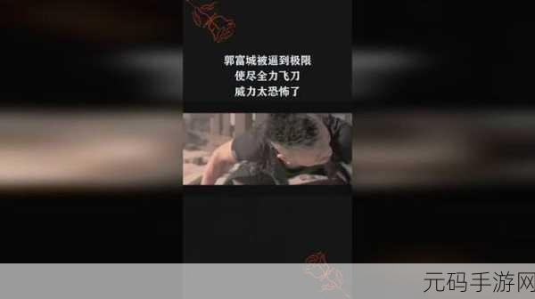 挑战极限!锋利的刀子,一场技术与精准度的飞刀盛宴