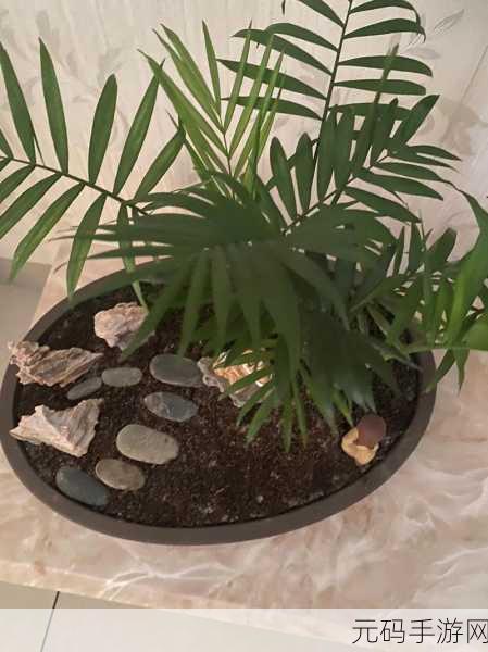 探秘植物王国,开启你的绿色养成之旅,植物世界模拟震撼上线