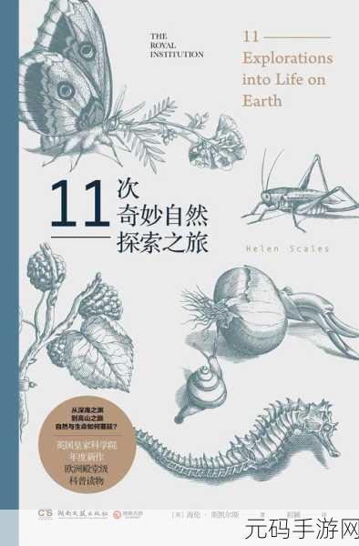 四季之春浪漫上线，探索自然奥秘的休闲解谜之旅
