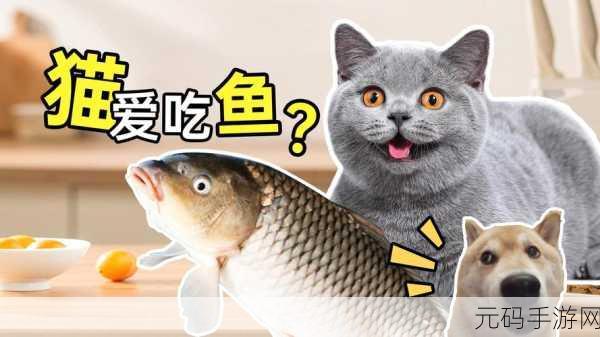 鱼店猫老板，一场心灵深处的温柔邂逅，安卓版现已温馨上线