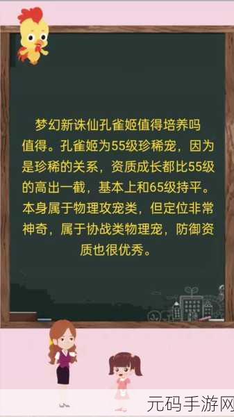 梦幻新诛仙,孔雀姬洗练秘籍 实力飙升指南