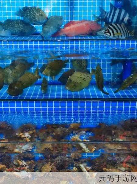 海鲜工厂大亨，打造你的海洋美食帝国，即刻下载体验！