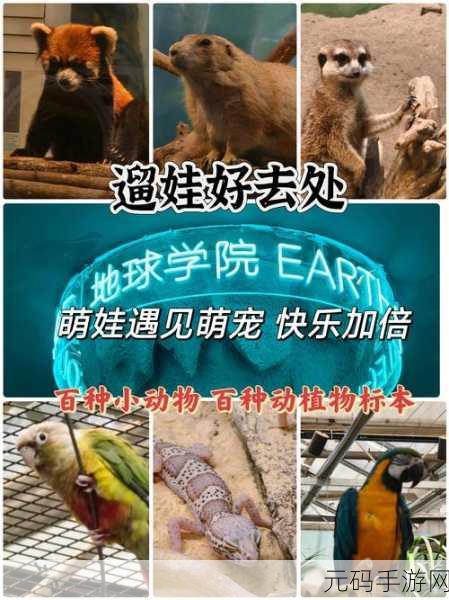 萌宠集结号,探索萌宠哪里跑手机版下载热潮背后的奇妙世界