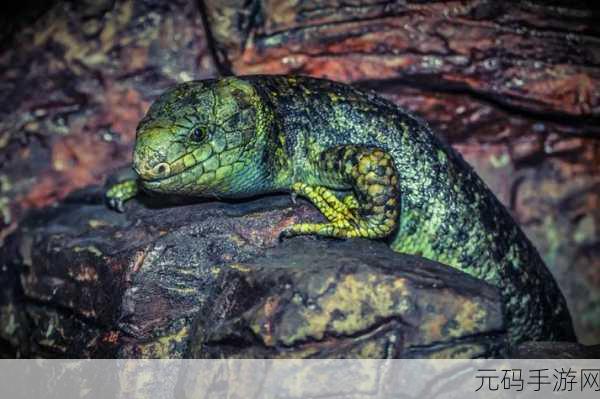 贪食变色龙Lizard Lickers席卷而来，安卓IOS双端下载开启！