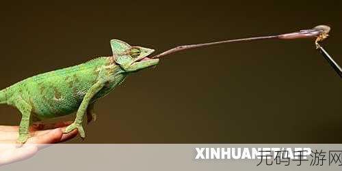 贪食变色龙Lizard Lickers席卷而来，安卓IOS双端下载开启！