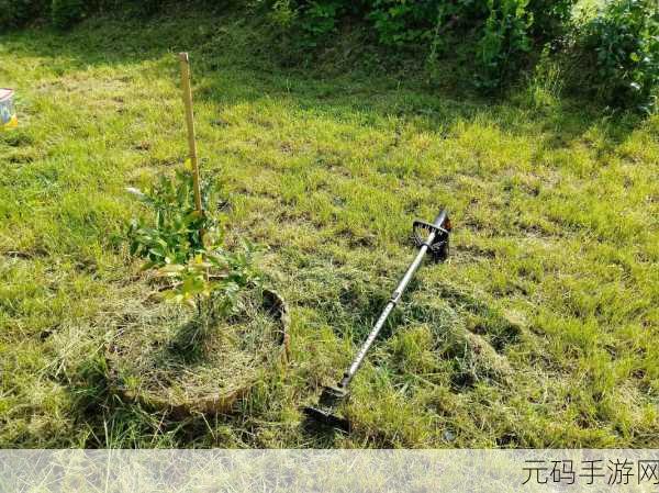 割草盛宴,解锁割草的100种方式破解版,无限金币畅享休闲时光
