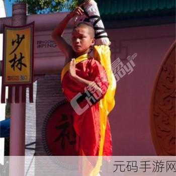 烟雨江湖少林童子功学习全攻略