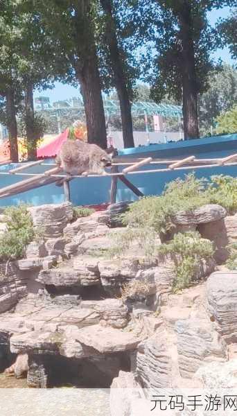 野兽也疯狂震撼登场，探索动物王国的奇妙冒险之旅