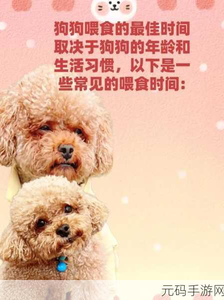 萌犬家族焕新登场，养狗乐趣尽在指尖，修改版惊喜下载开启！