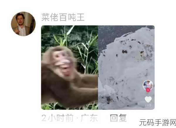 推雪球大冒险,敏捷破坏闯关新体验,燃爆你的指尖!