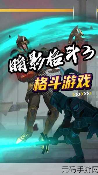 暗影格斗师3D震撼登场，格斗迷们的终极盛宴！