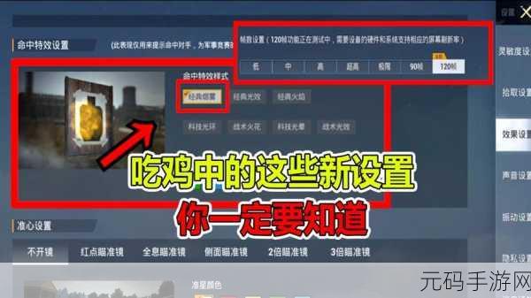 和平精英,命中特效设置秘籍 打造极致视觉盛宴