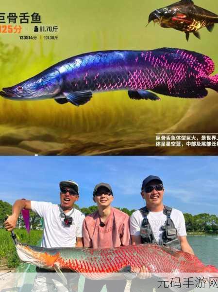 欢乐钓鱼大师震撼登场，垂钓乐趣，挑战无限，等你来体验！