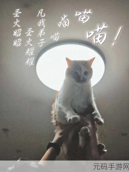 萌宠相伴，消除烦恼！美食喵喵喵修改版清新上线