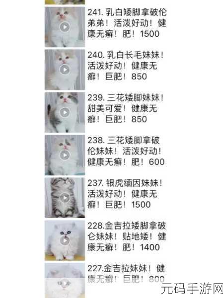 萌宠相伴，消除烦恼！美食喵喵喵修改版清新上线