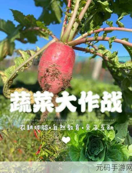 消灭蔬菜大冒险,策略与趣味的完美碰撞,官方版下载现已开启!