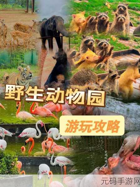 动物之王火爆上线,打造你的梦幻动物园,开启模拟经营新篇章