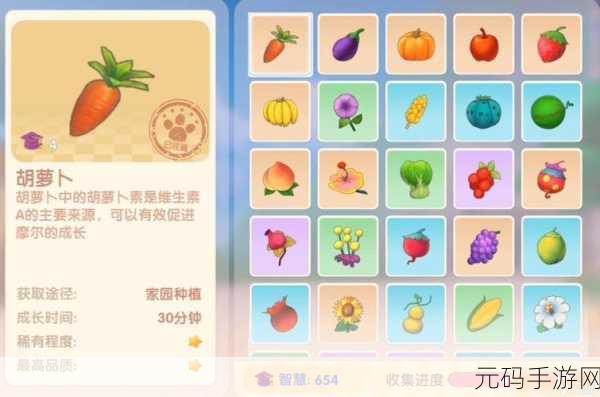 摩尔庄园手游收菜秘籍，轻松收获满满的田园果实