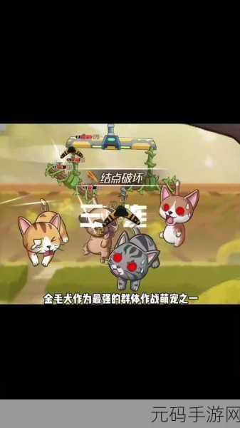 我叫MT指尖梦幻BT版震撼来袭,重新定义卡牌手游新乐趣!