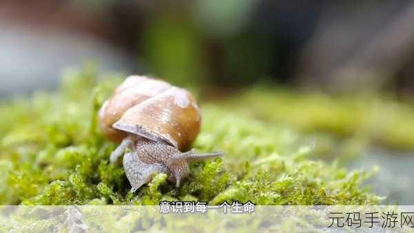 蚂蚁领地中文版手机版，微观世界的策略盛宴