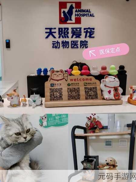 宠物医院模拟器中文版震撼登场，免费体验超逼真宠物救助之旅