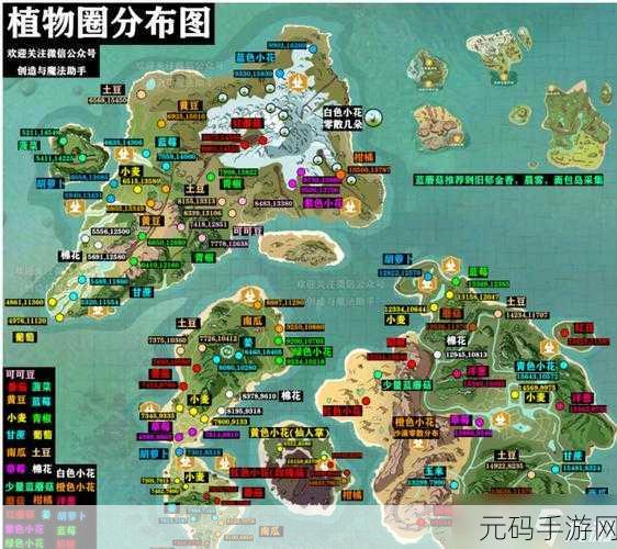 探索创造与魔法，棕熊大位置全揭秘