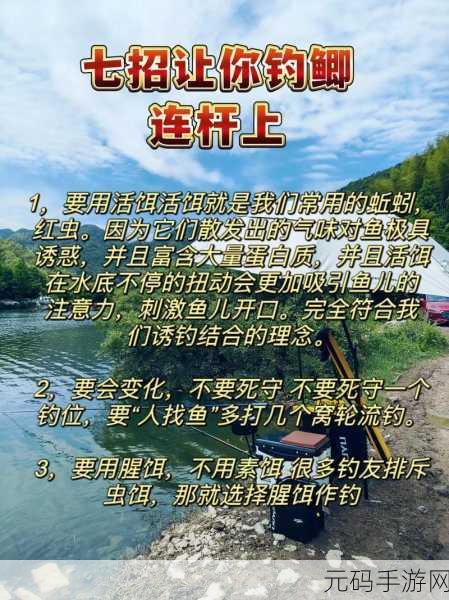 小森生活钓鱼秘籍,让你满载而归的秘诀